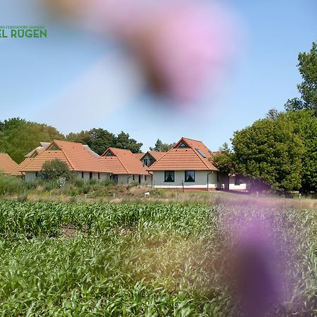 Jugendtours-Feriendorf Ummanz Aparthotel Buitenkant foto