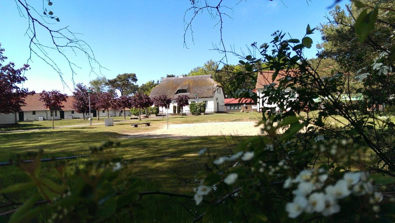 Jugendtours-Feriendorf Ummanz Aparthotel Buitenkant foto