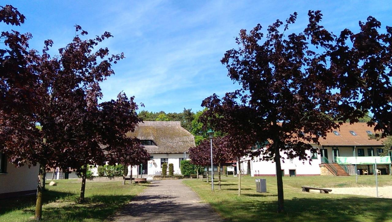 Jugendtours-Feriendorf Ummanz Aparthotel Buitenkant foto