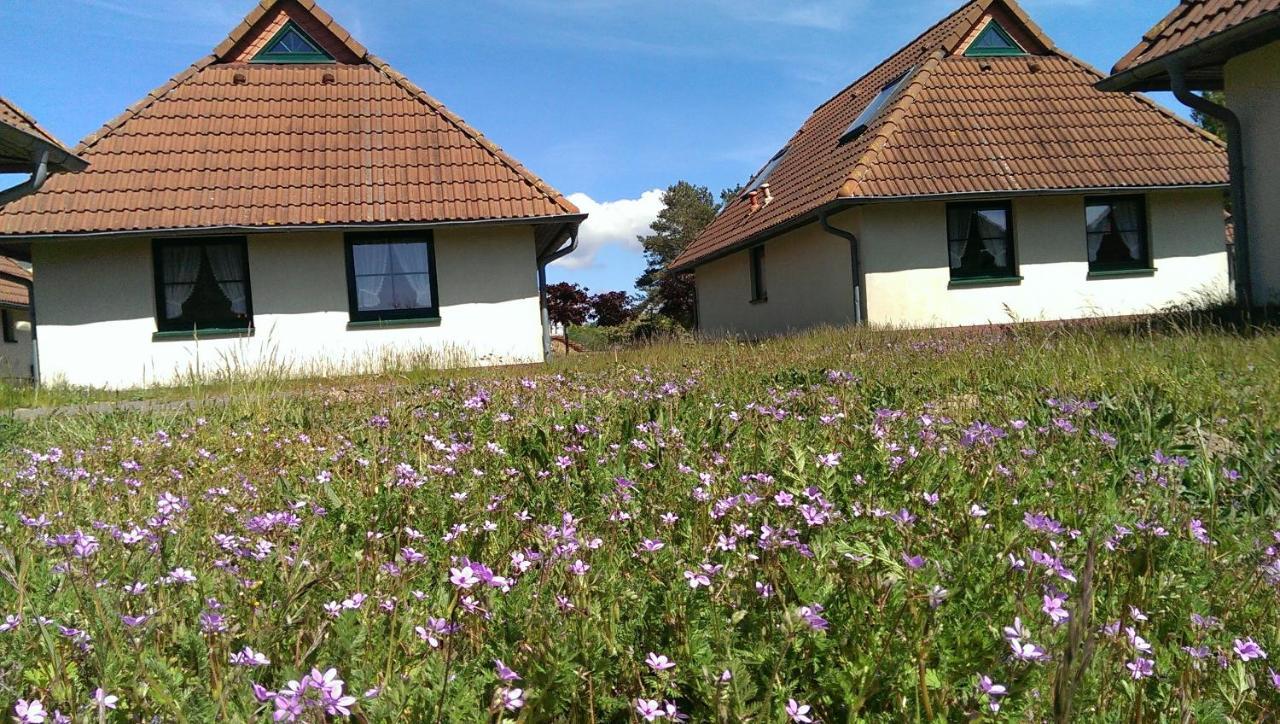 Jugendtours-Feriendorf Ummanz Aparthotel Buitenkant foto