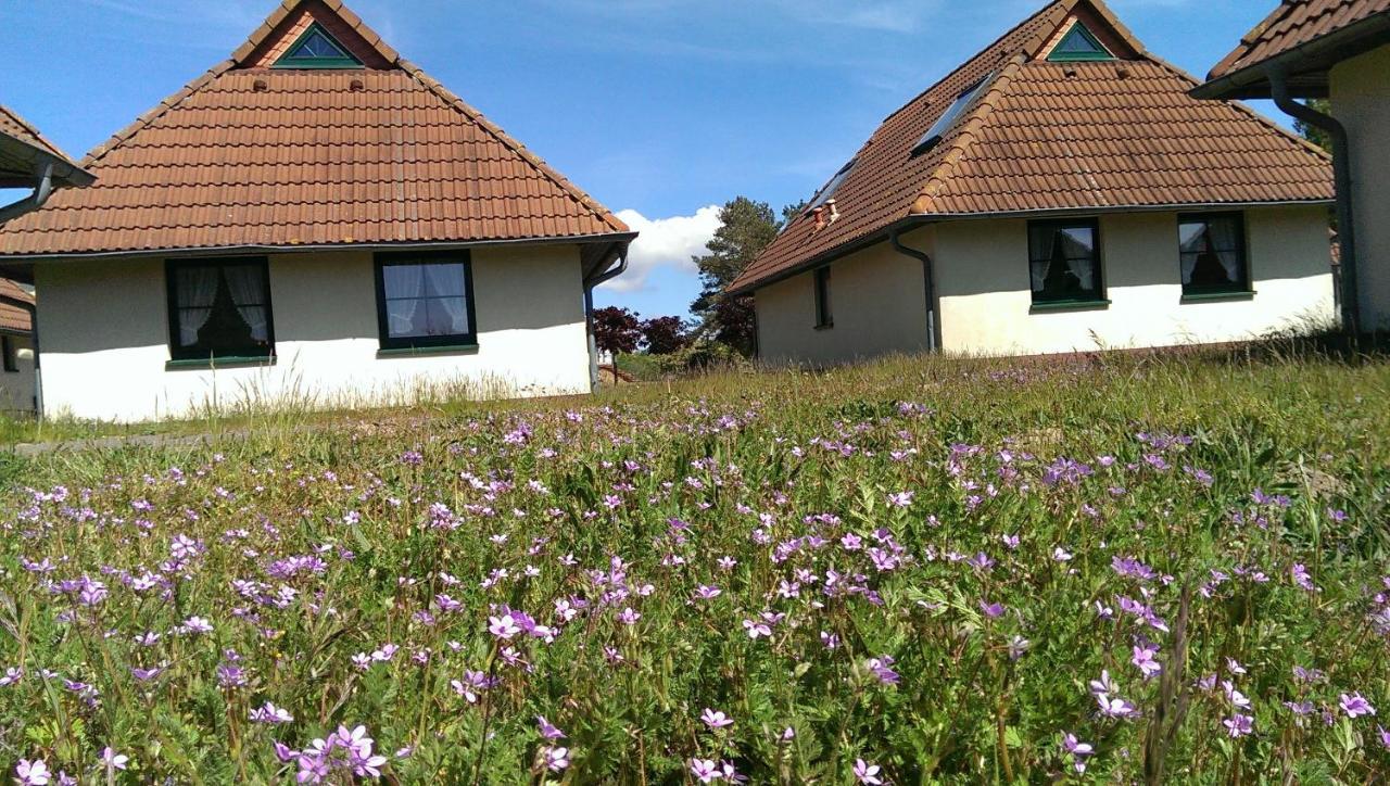 Jugendtours-Feriendorf Ummanz Buitenkant foto