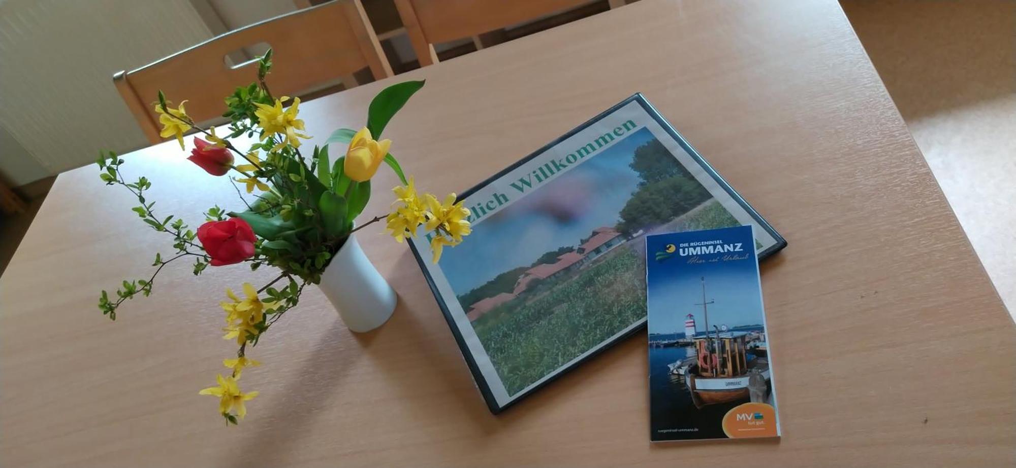 Jugendtours-Feriendorf Ummanz Buitenkant foto