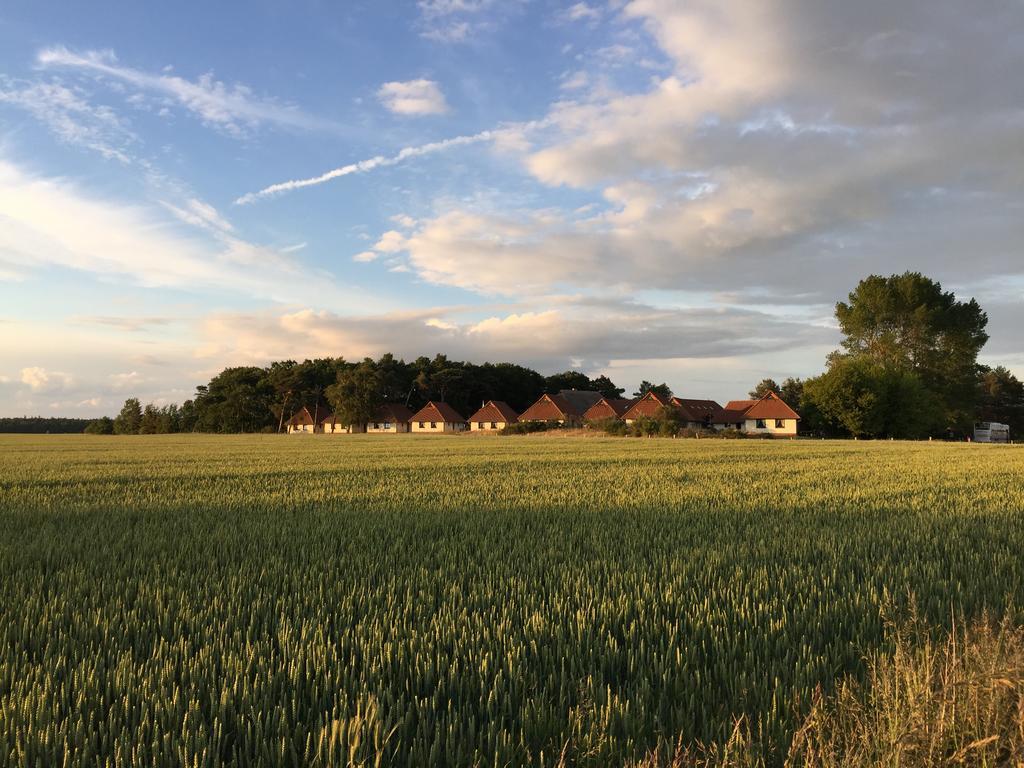 Jugendtours-Feriendorf Ummanz Aparthotel Buitenkant foto