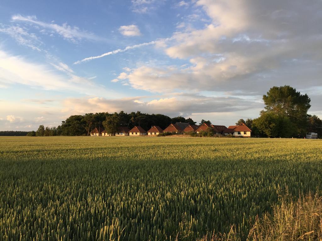 Jugendtours-Feriendorf Ummanz Buitenkant foto